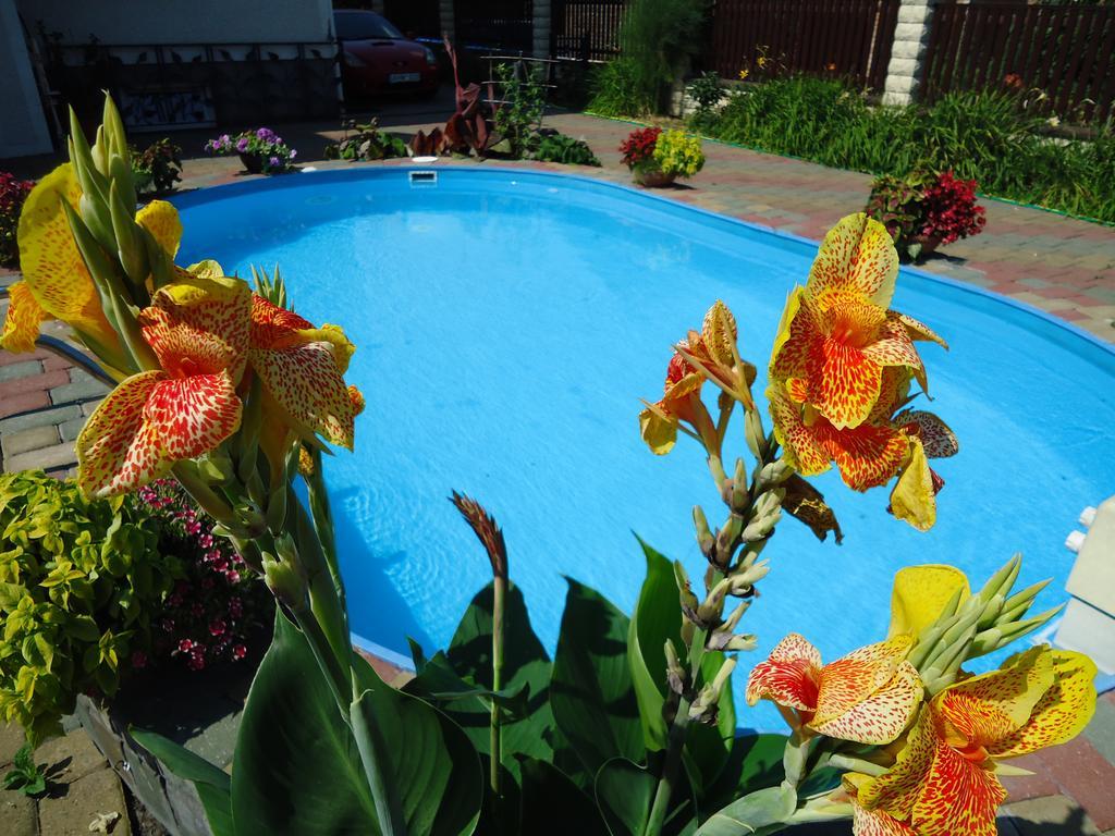 Guest House Linas Алитус Экстерьер фото