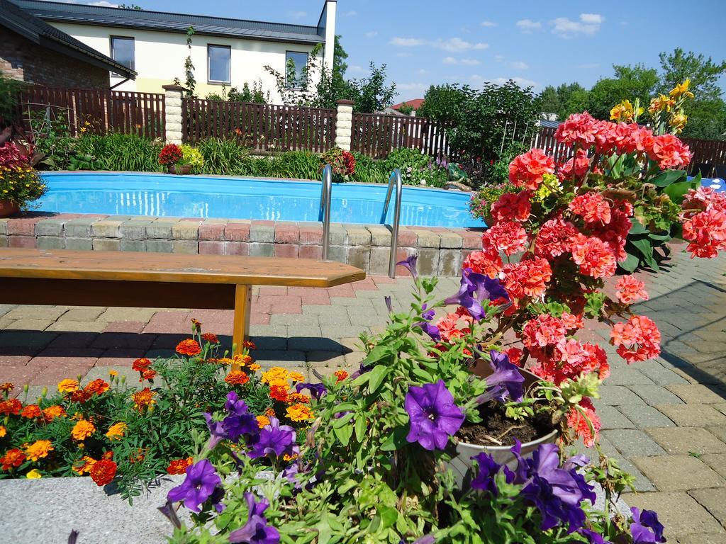 Guest House Linas Алитус Экстерьер фото